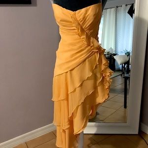 SHAWN RAY FONS PARTY DRESS 100%  SILKS Self lining bias cut for give fits sz 2-4